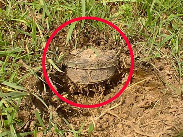 Im Gras liegt eine Mine. Der Bereich ist eingekringelt.